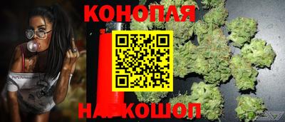 прущая мука Лесосибирск