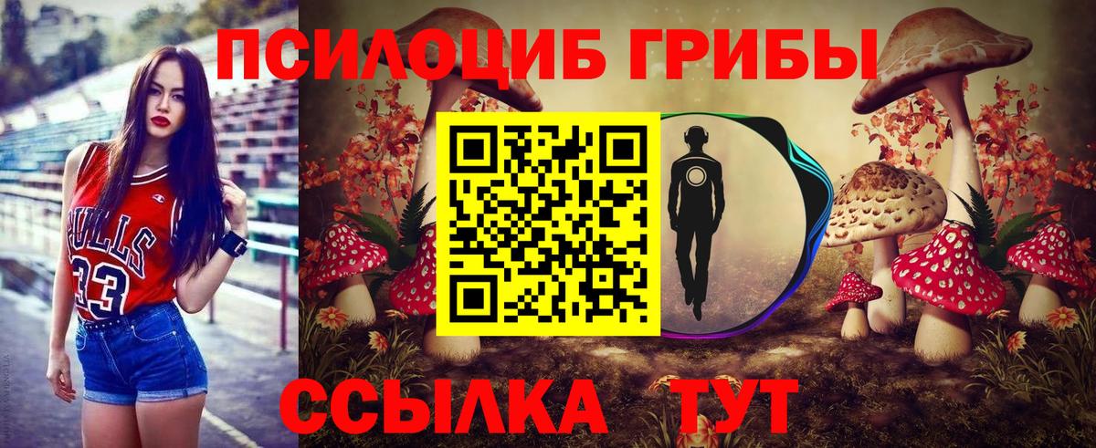 Псилоцибиновые грибы ЛСД Тулун